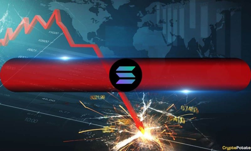 Prihodi Solane pali su za 93% u odnosu na januarski vrhunac nakon pucanja memecoin balona
